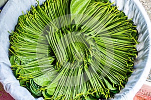 Betel Leaves for Sale in Market