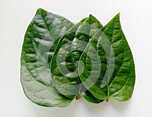 Betel leaves are spicy. It is well known that it is popularly applied to chalk and chalk together with betel.
