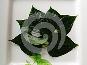 Betel leaves are spicy. It is well known that it is popularly applied to chalk and chalk together with betel.