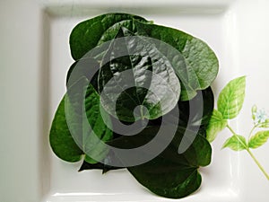 Betel leaves are spicy. It is well known that it is popularly applied to chalk and chalk together with betel.