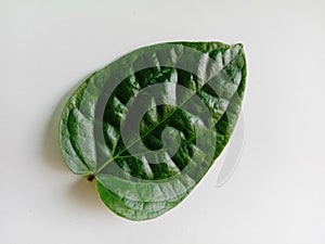 Betel leaves are spicy. It is well known that it is popularly applied to chalk and chalk together with betel.