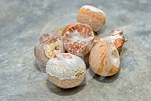 Betel Nut or Areca Nut background