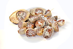 Betel Nut or Areca Nut