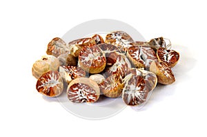Betel Nut or Areca Nut