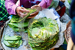 Betel nut leaves