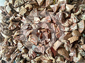 Betel nuts cutting in small size