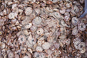 Betel Nuts at Market