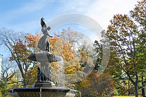 The Bethesda fountain in an autumn morning