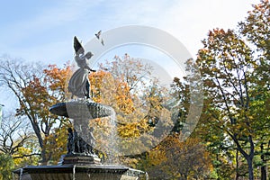 The Bethesda fountain in an autumn morning