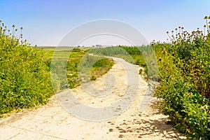 Bethlehem stream promenade, in the Jezreel valley