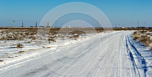 Betpakdala steppe southern kazakhstan