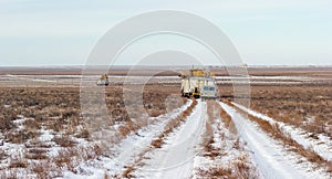 Betpakdala steppe southern kazakhstan