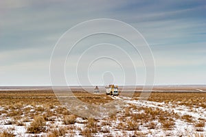 Betpakdala steppe southern kazakhstan