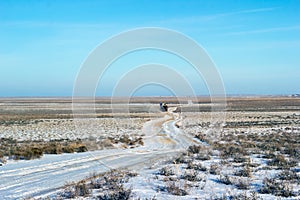 Betpakdala steppe southern kazakhstan