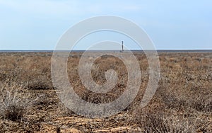 Betpakdala steppe southern kazakhstan