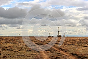 Betpakdala steppe southern kazakhstan