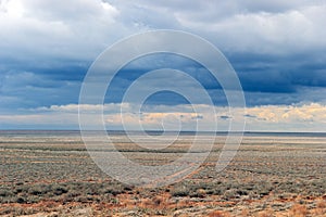 Betpakdala steppe southern kazakhstan