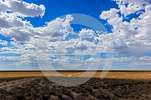 Betpakdala steppe southern kazakhstan