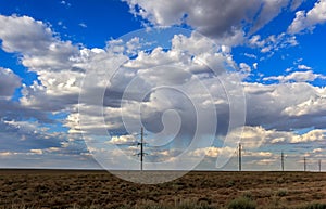 Betpakdala steppe southern kazakhstan