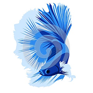 Betta Beauty HM Blue Logo Vector Design