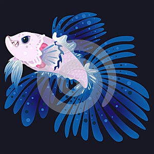 Betta fighting fish flat illustration cartoon