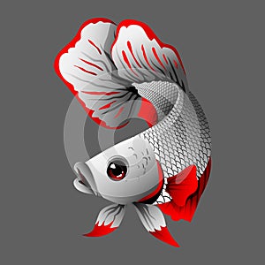 Betta fish Japan color vector image.