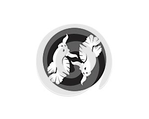 Betta fish logo vector template