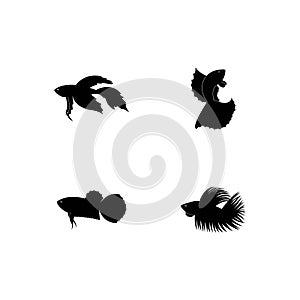 Betta fish vector silhouette