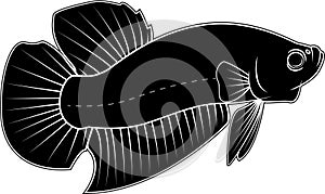 Betta Fish Vector silhouette