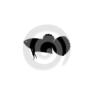Betta fish vector silhouette