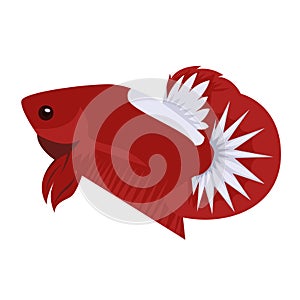 Betta Hellboy Logo Vector Design