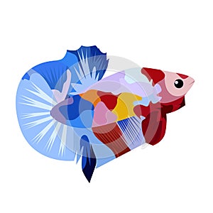 Betta Multy Logo Vector Design