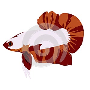 Betta Plakat Logo Vector Design