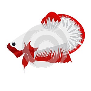 Betta Plakat Logo Vector Design