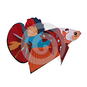 Betta Plakat Logo Vector Design