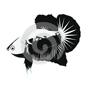 Betta Samurai Logo Vector Illustration