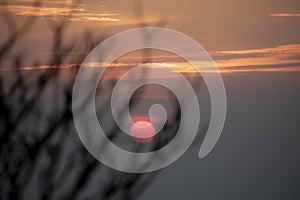 Beuatiful sunset sky through tree branch