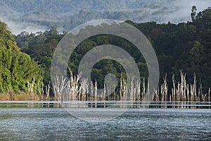 Beuatilful nature of Ratchaprapa Dam and Cheow Larn Lake, Khao Sok, Klongsang wildlife sanctuary Thailand.