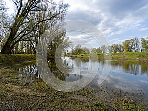 Beuningse Uiterwaarde