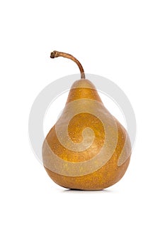 Beurre Bosc Pear on White photo