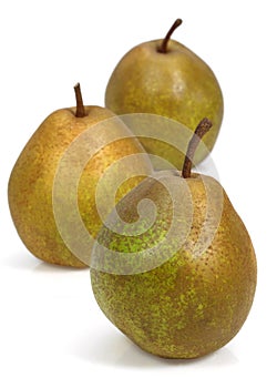BEURRE HARDY PEAR pyrus communis AGAINST WHITE BACKGROUND photo