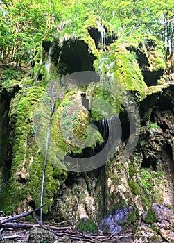 Beusnita Waterfall, Cheile Nerei National Park