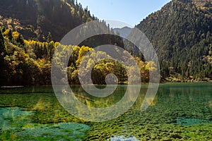 Beutiful autumn foliage at Crystal lake JiuZhaigou Nature reserve, China