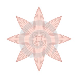 beutiful flower isolated icon design