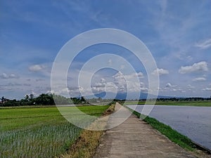 Beutiful view mount panorama blue green
