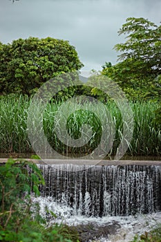 Beutiful waterfall in rain