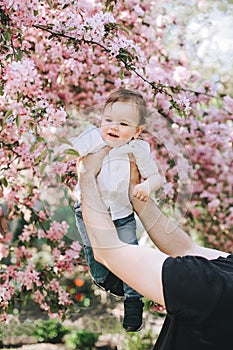 Beutifull little boy in his father hands touches a cherry blossom branch and smiles