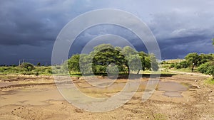 Beutyfull Nature Trees And Sky View At Mandavdhar Gujrat India 24 06 2020