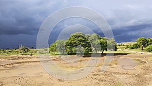 Beutyfull Nature Trees And Sky View At Mandavdhar Gujrat India 24 06 2020