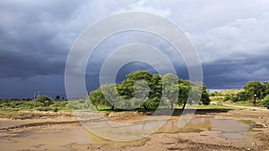 Beutyfull Nature Trees And Sky View At Mandavdhar Gujrat India 24 06 2020